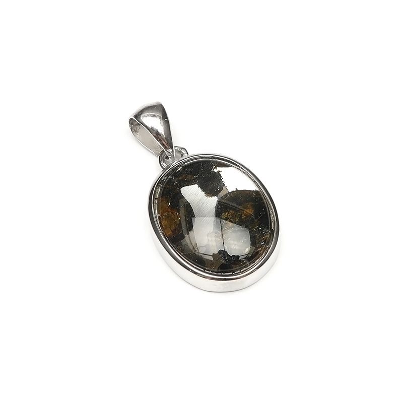 セリコ(パラサイト隕石) ペンダントトップ 25㎜サイズ 【公式通販】
