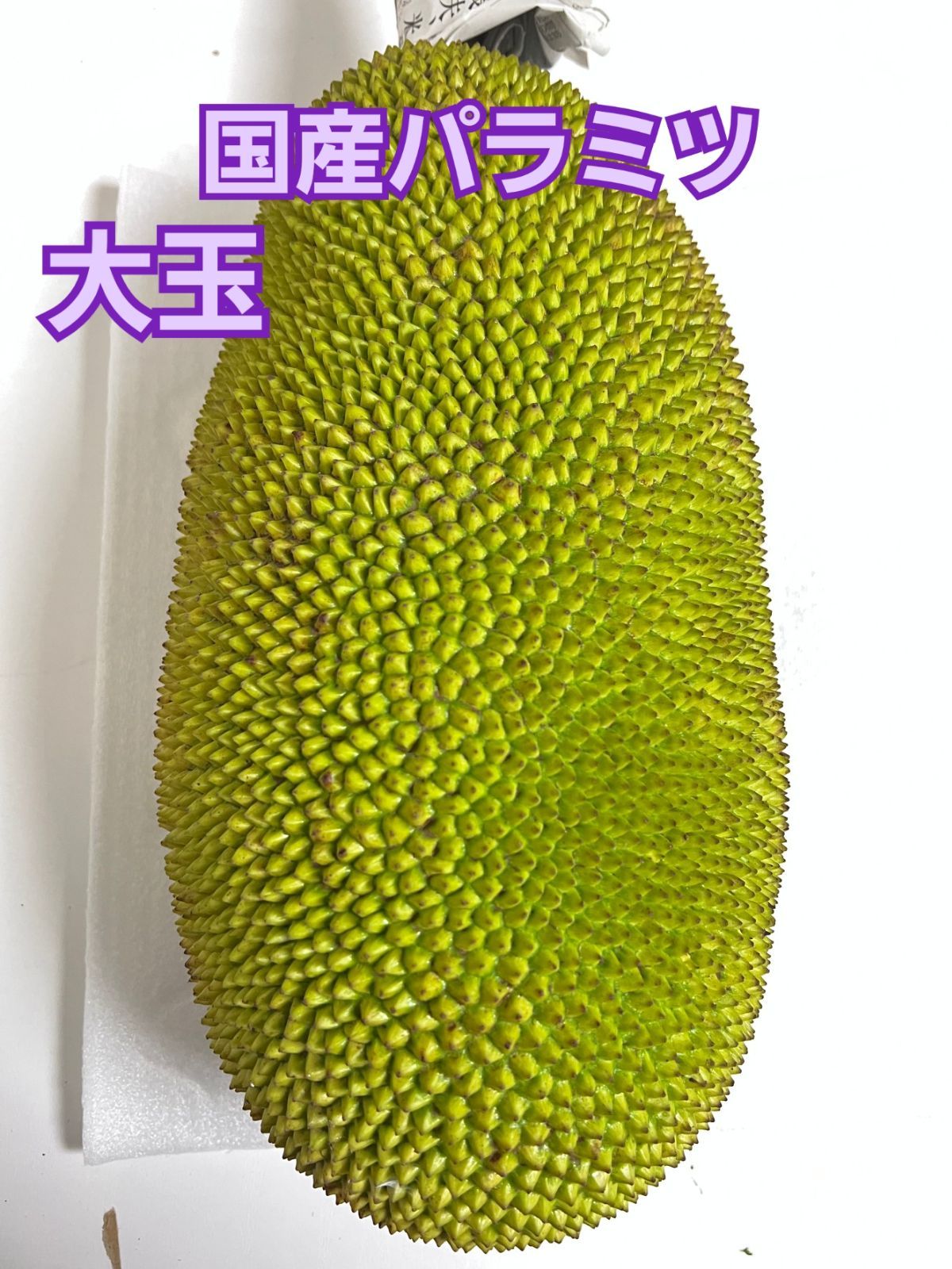 石垣島産 パラミツ ジャックフルーツ 5kg - 果物