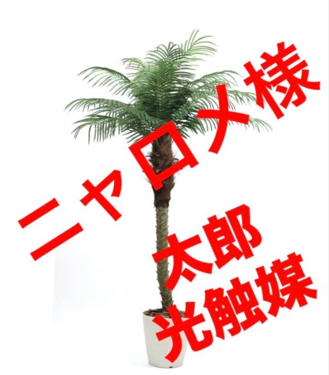 光触媒 人工観葉植物 ウォールグリーン フェイクグリーン ココナッツ