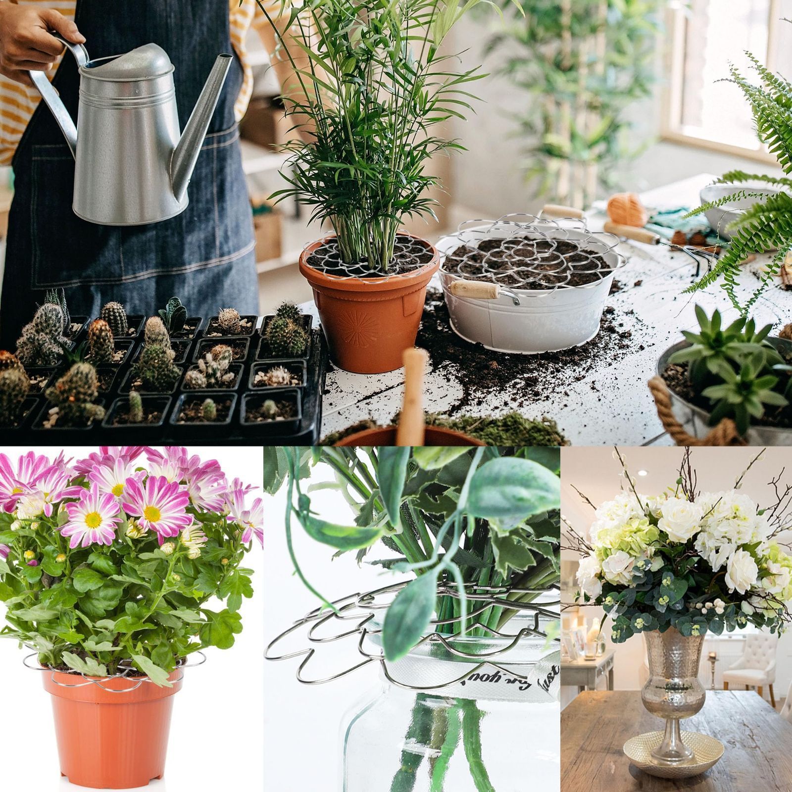植物 再利用
