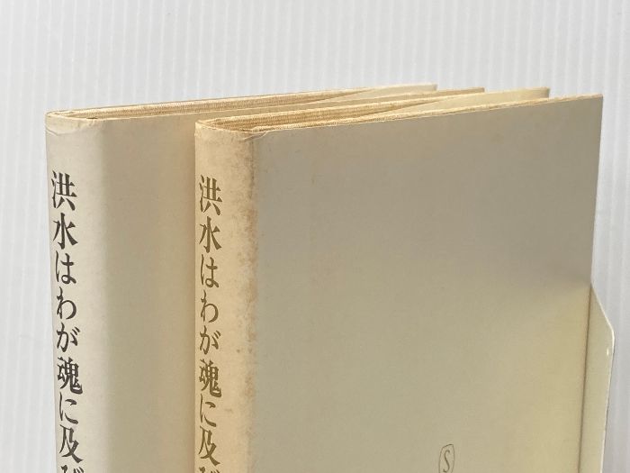 洪水はわが魂に及び　大江健三郎　上下２冊セット　純文学書下ろし作品 新潮社 Amazon.co.jp: 大江健三郎 上下2冊セット 洪水はわが魂に及び