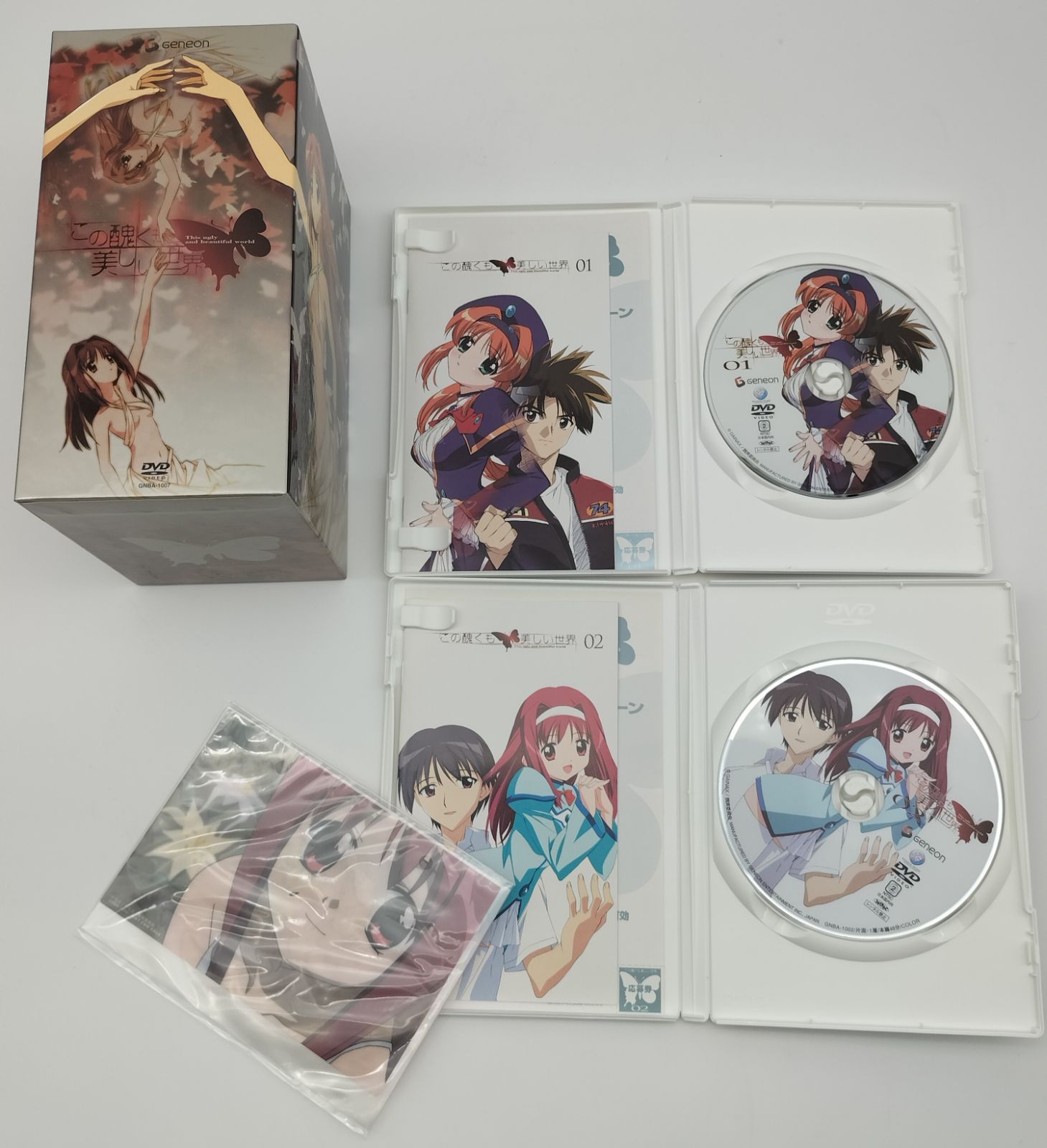 DVD】この醜くも美しい世界 01 すい