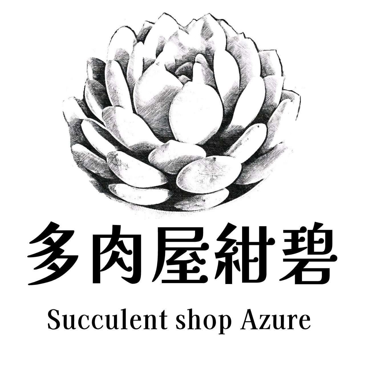 多肉屋紺碧 - メルカリShops