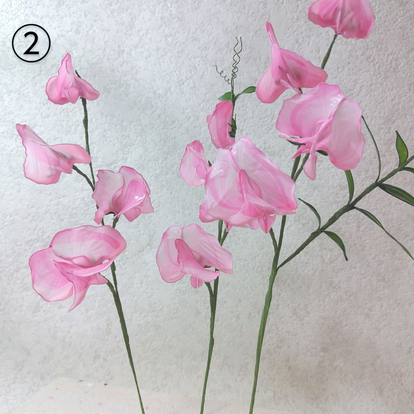 アメリカンフラワースィートピー（同色3本） - メルカリ