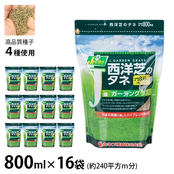 カネコ種苗 西洋芝のタネ J.ガーデングラス な16袋セット 約240平方m