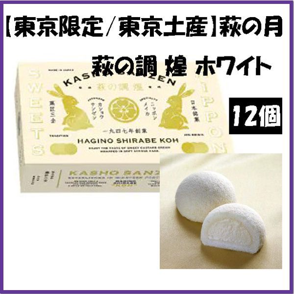 くぅさま専用❗️希少色 卸売 Salvatore Ferragamo ソフィアガンチーニ