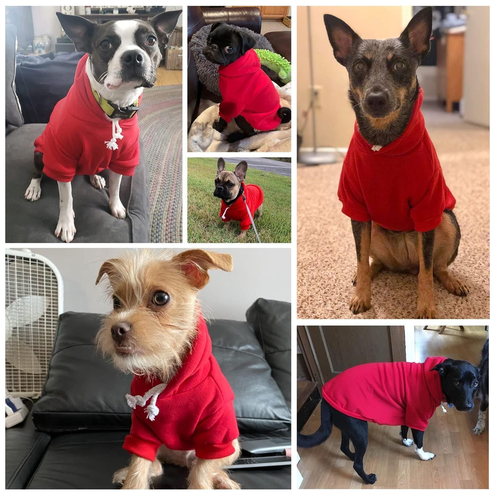 新品 タンクトップ ドッグウェア 犬用服 ポリエステル お散歩 袖