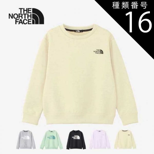 バドミントンシャトル 240球 ノック球