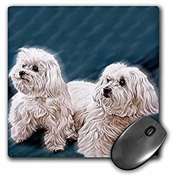 3Dローズ 犬 マルチーズ - マルチーズ - マウス パッド - マウスパッド - mp_758_1 (並行輸入)