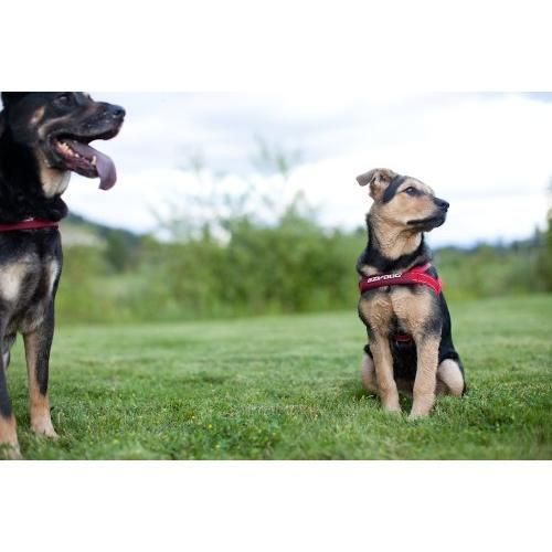 EZYDOG イージードッグ クイックハーネスXXS ブラック