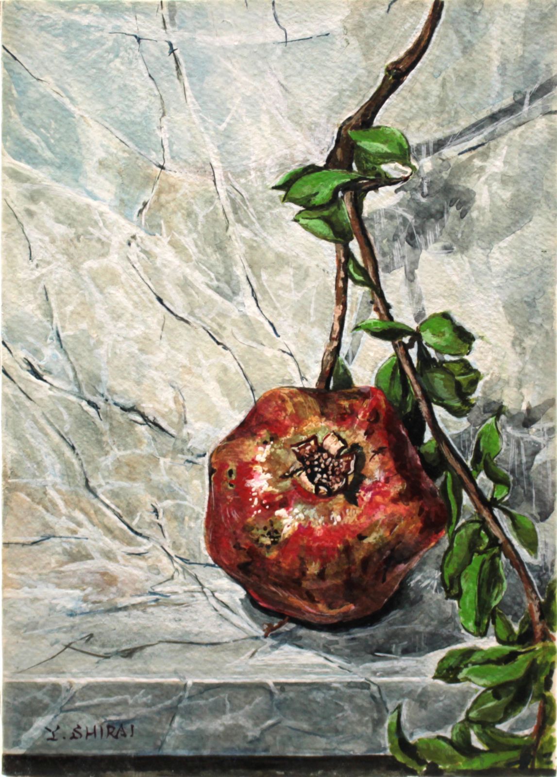 白井洋子『柘榴』水彩画【真作保証】 絵画 白井洋子『柘榴』水彩画【真作保証】 絵画