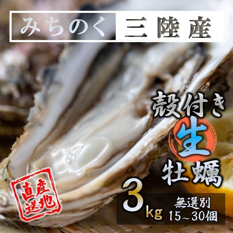 生食OK 3kg 三陸産 殻付き生牡蠣 解禁したて 希少 数量限定 新鮮 宮城-0