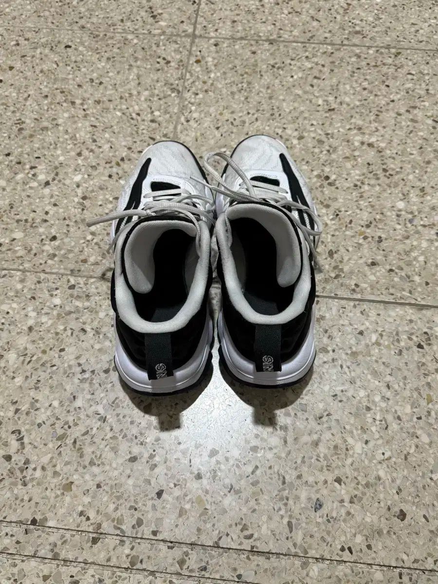 NIKE ナイキ Giannis ヤニス 不道徳 バスケットシューズ 260