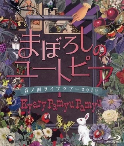 きゃりーぱみゅぱみゅ まぼろしのユートピア 音ノ国ライブツアー　DVD版 中古】邦楽Blu-ray Disc きゃりーぱみゅぱみゅ / きゃりーぱみゅ