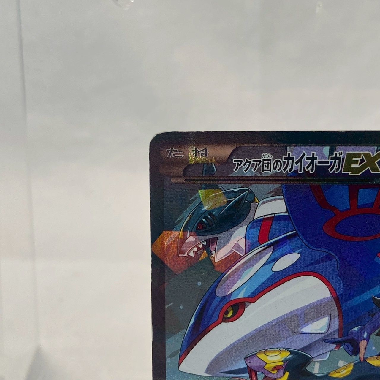 美品】アクア団のカイオーガEX/RR/003/034/キラカード/ポケモン