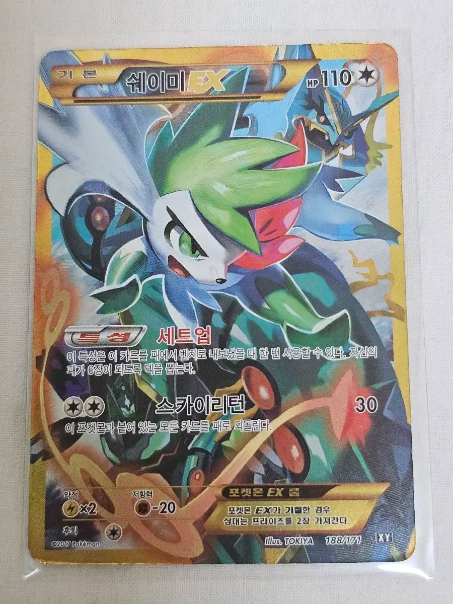 レスリング RIZIN 山本ファミリー 直筆サイン色紙5枚セット