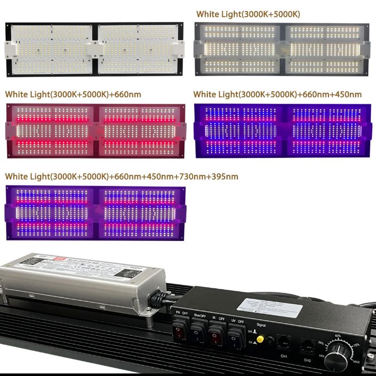 TY-EVO240W 【安心3年保証】植物育成LEDライトT!iyo©️ セール T!iyo©️ TY-EVO240W セール 【安心3年保証】植物育成LEDライト
