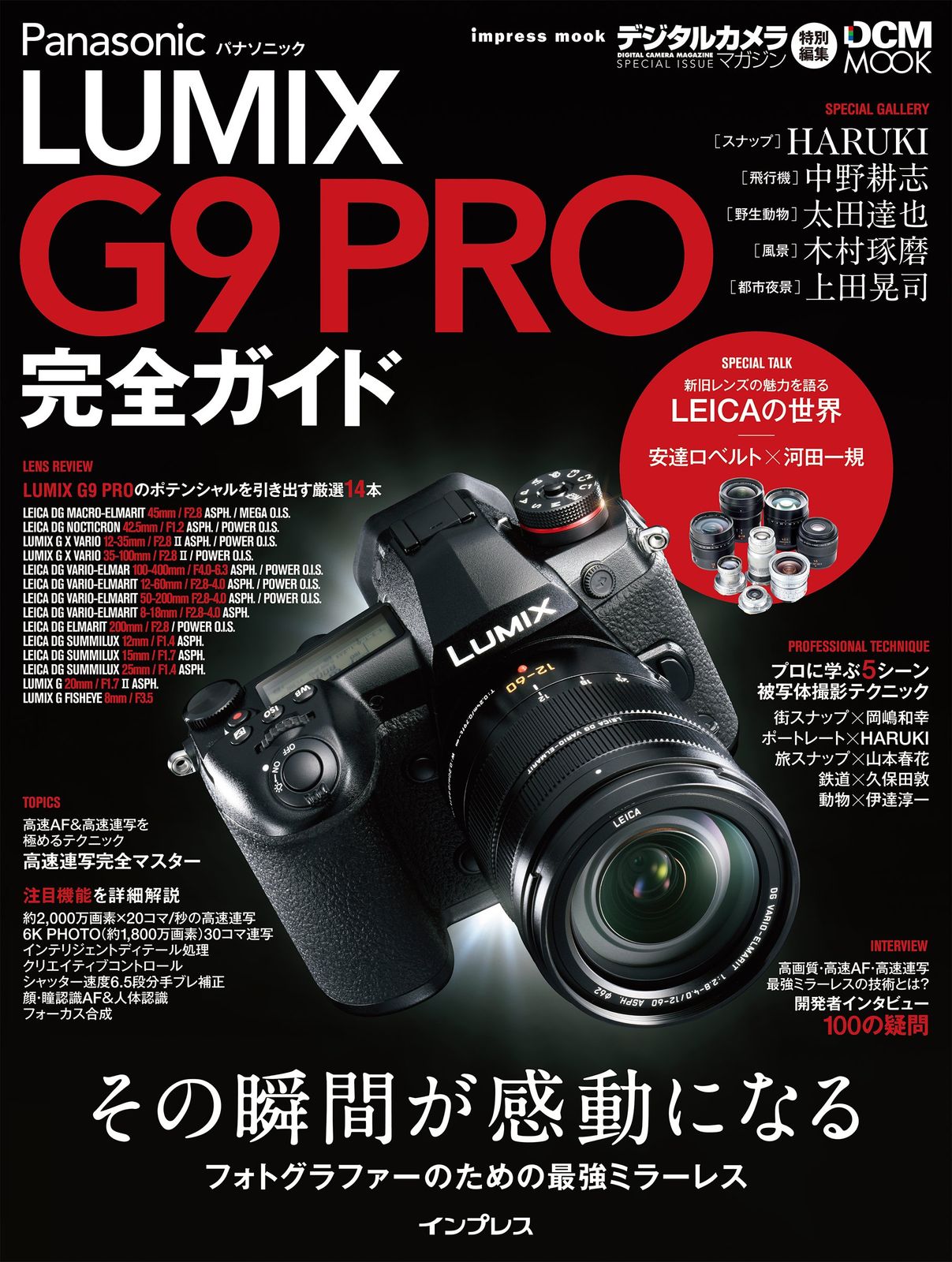 ビスクドール・ジョージア・ビエナ100体No.30