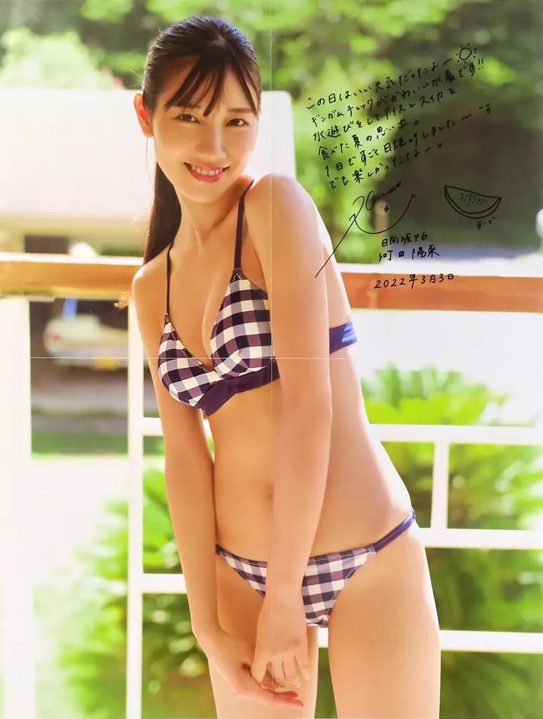 中古】ポスター 四つ折ポスター 河田陽菜(水着：黒チェック柄) 「日