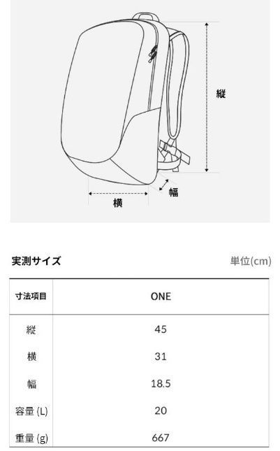 新品 (ザ・ノースフェイス) THE NORTH FACE ASCEND LT 20 NM2SQ10 リュック バックパック メンズ レディース 20L 通気性 メッシュ素材 レインカバー 通学かばん カジュアル ストリート