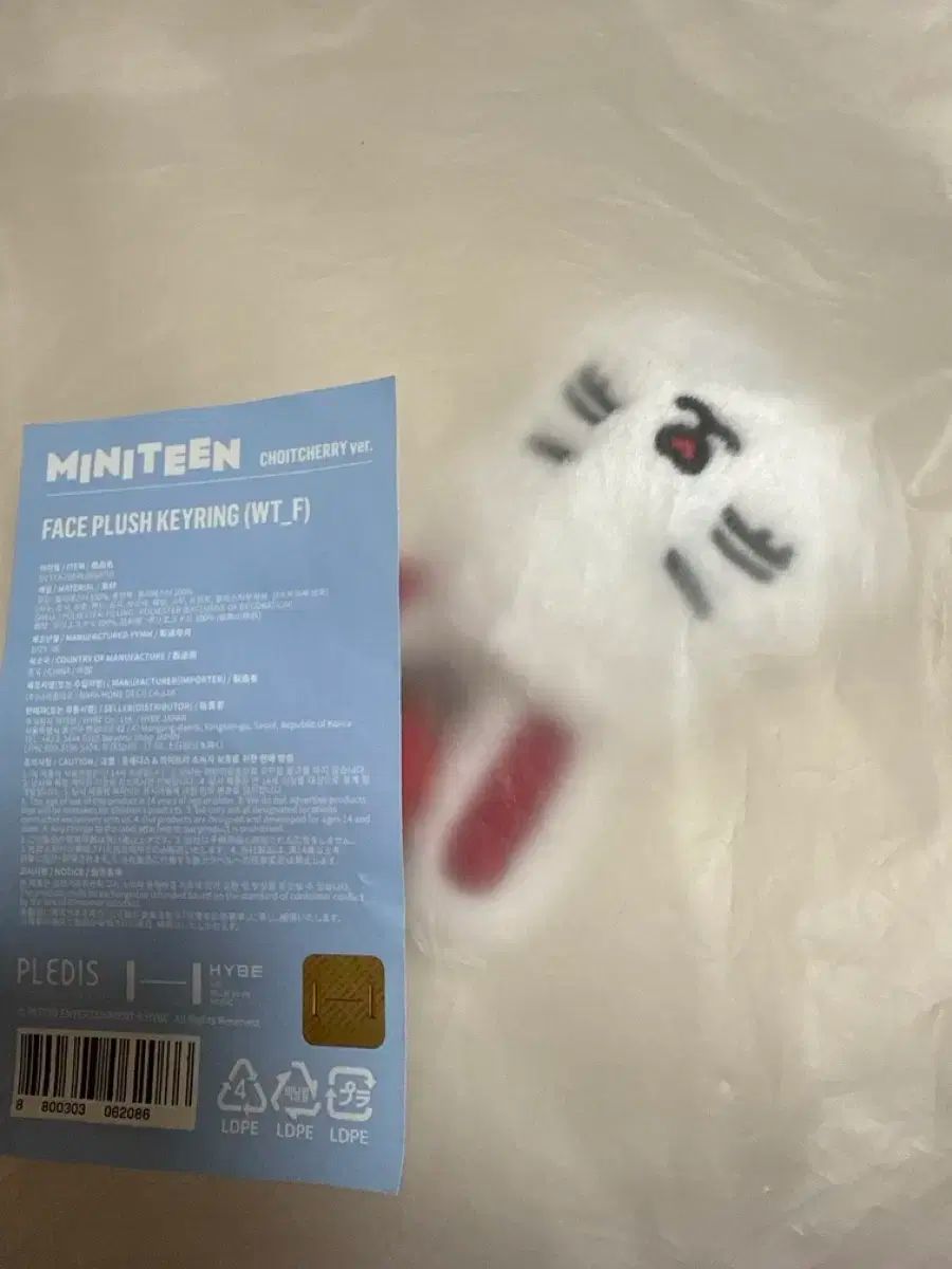 SEVENTEEN エスクプス セット seventeen ミニティーン チェチェリー