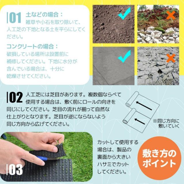 人口芝