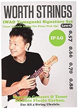 【中古】(未使用･未開封品)　Worth Strings IP-LG ウクレレ弦 IWAO Piezo Low-G 63インチ フロロカーボン wyeba8q