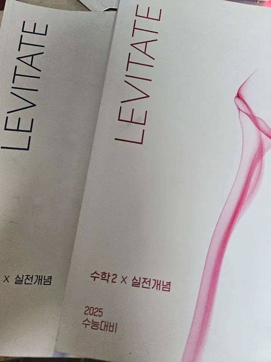 2025 時代人材 アン·ガラム レビテイト 数1 2