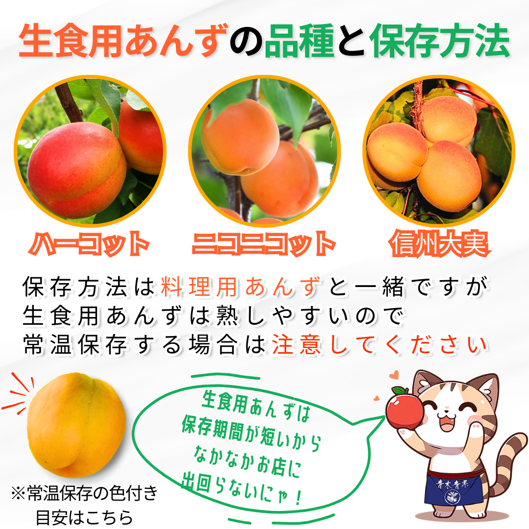 小玉あんず～杏シロップ・杏酒用～【内容量】約1.8kg【配送方法】クール配送【サイズ】L以下【品目】杏（あんず）【品種】当店お任せ【産地】長野県【規格】ご家庭用A品B品混合【詰め方】バラ詰め【配送までの日数】1～4日