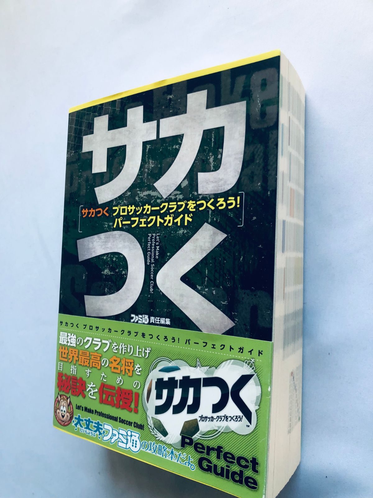 サカつく プロサッカークラブをつくろう! パーフェクトガイド