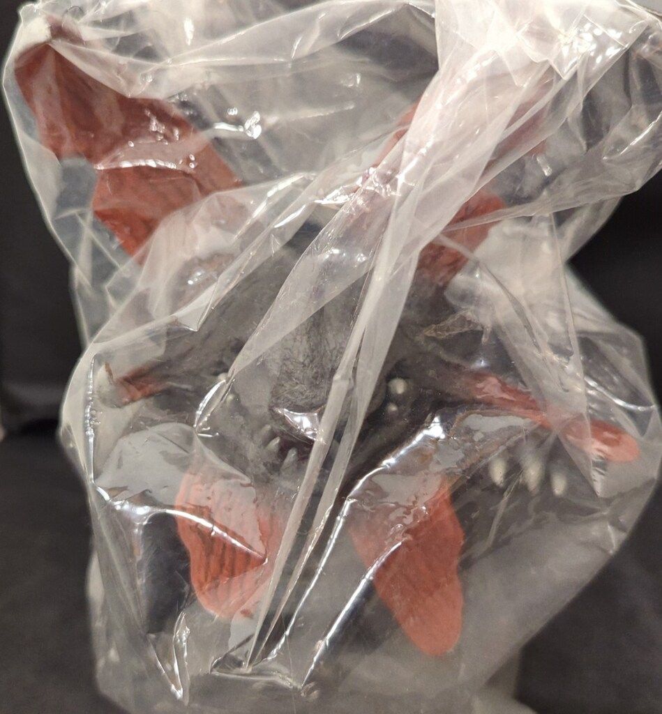 CCP 1/6特撮シリーズ ウラン怪獣 ガボラ 3 - メルカリ