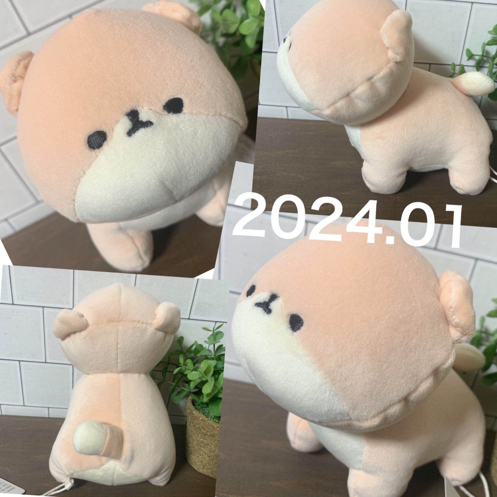 スコティッシュフォールド ねこ 猫 ネコ テノリマスコット ぬいぐるみ