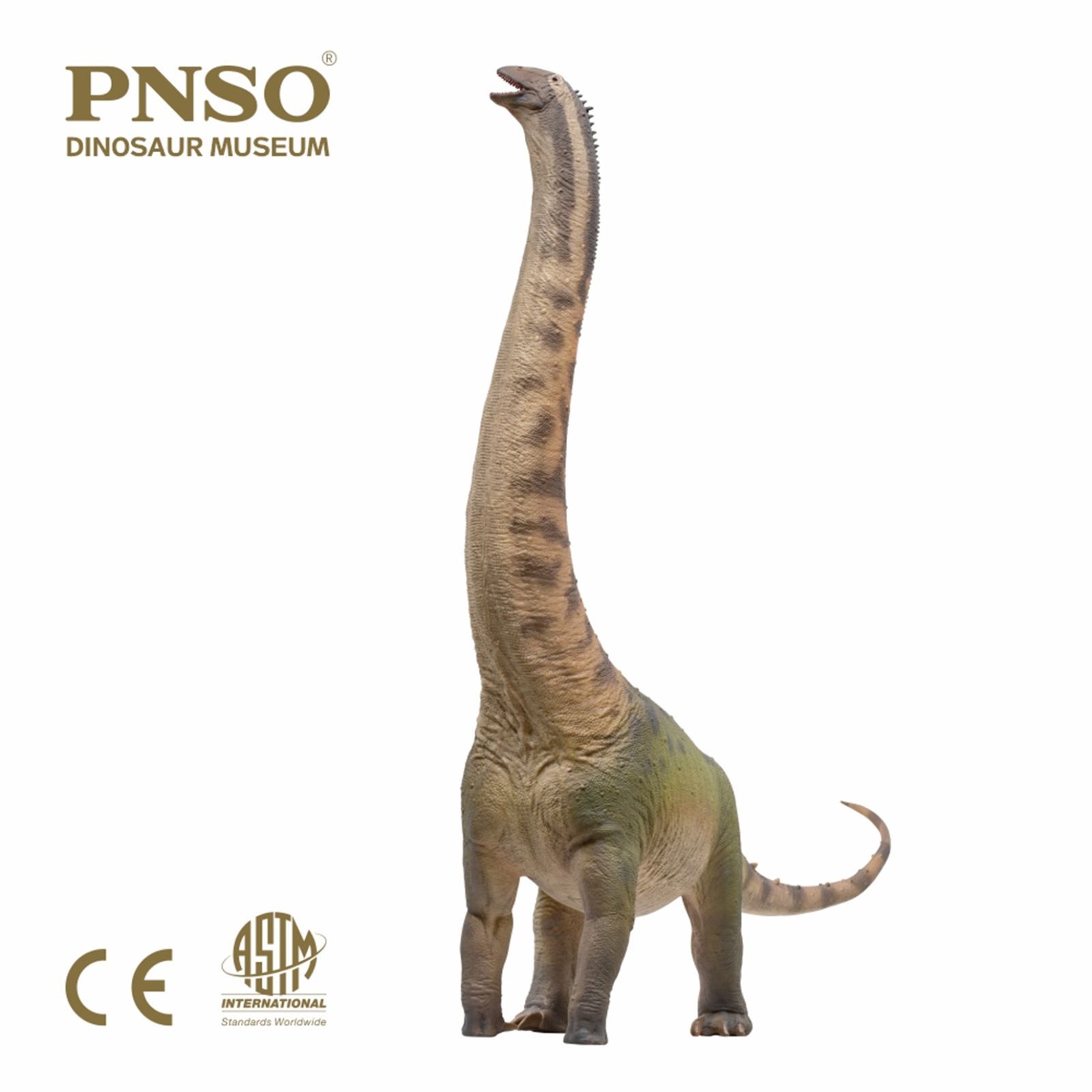 PNSO 1|45 スケール ホンコンサウルス フィギュア 竜脚類 30.4cm級 恐竜 PVC おもちゃ 模型
