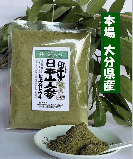 ヒュウガトウキ　日本山人参粉末　8袋 日本山人参（ヒュウガトウキ）粉末60g 本場大分県産 - メルカリ