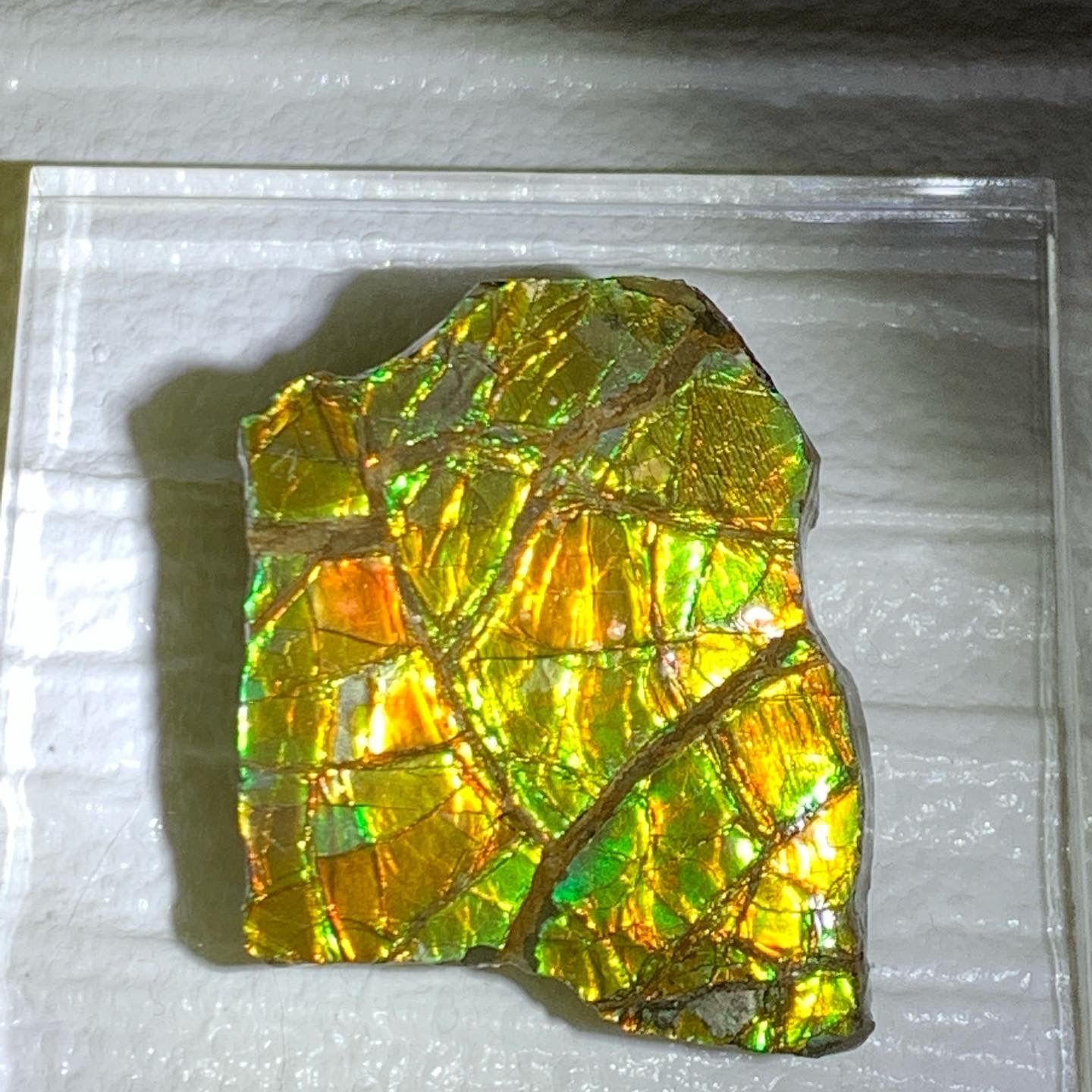 アンモライト】貴重！美しいアンモライト