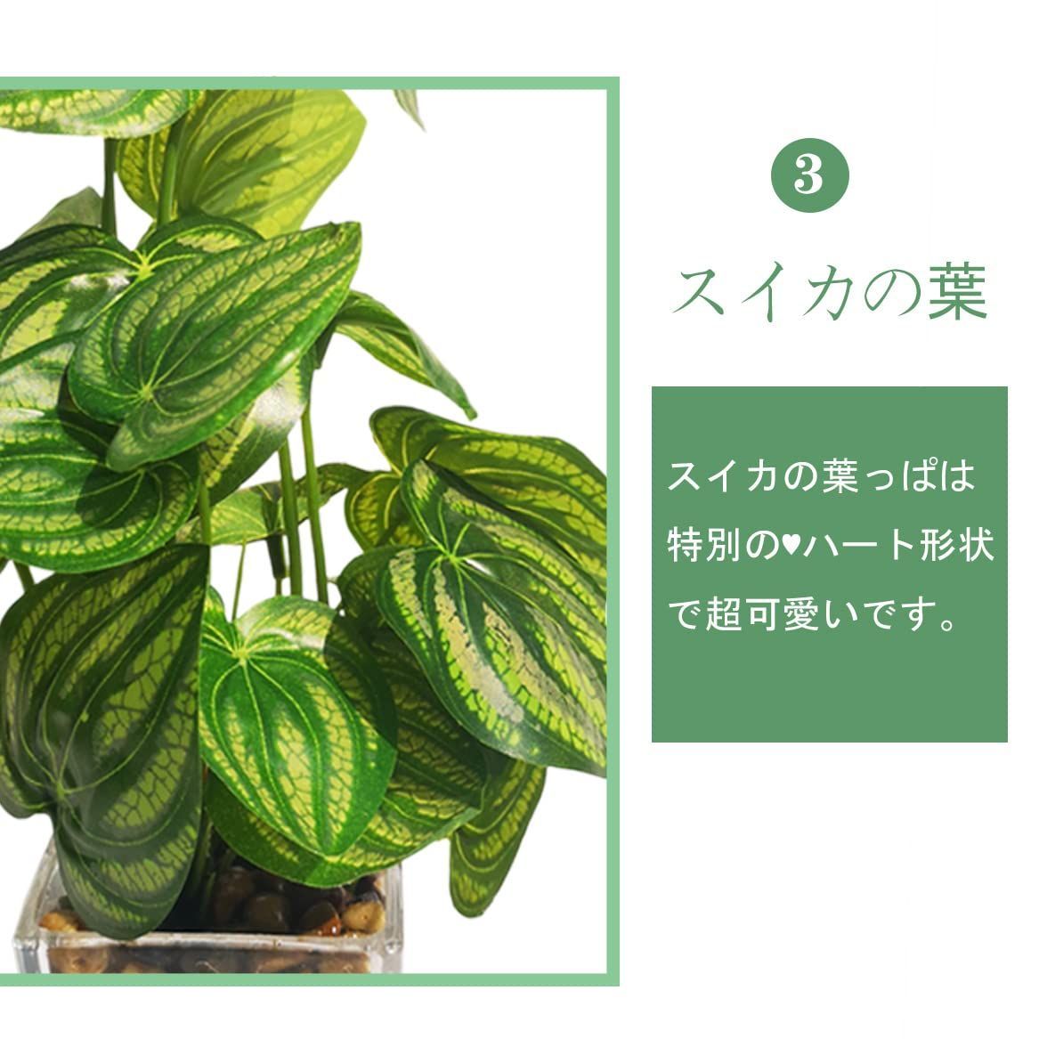 世話いらず