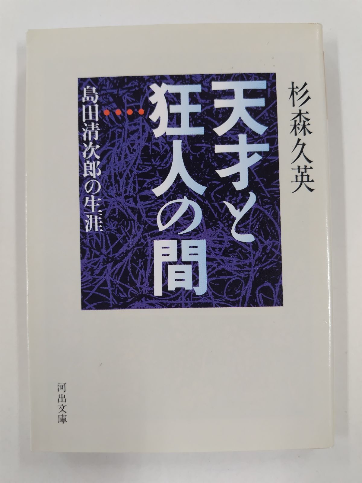 天才と狂人の間―島田清次郎の生涯 (河出文庫) 天才と狂人の間 初版絶版 島田清次郎の生涯 杉森久英 河出文庫