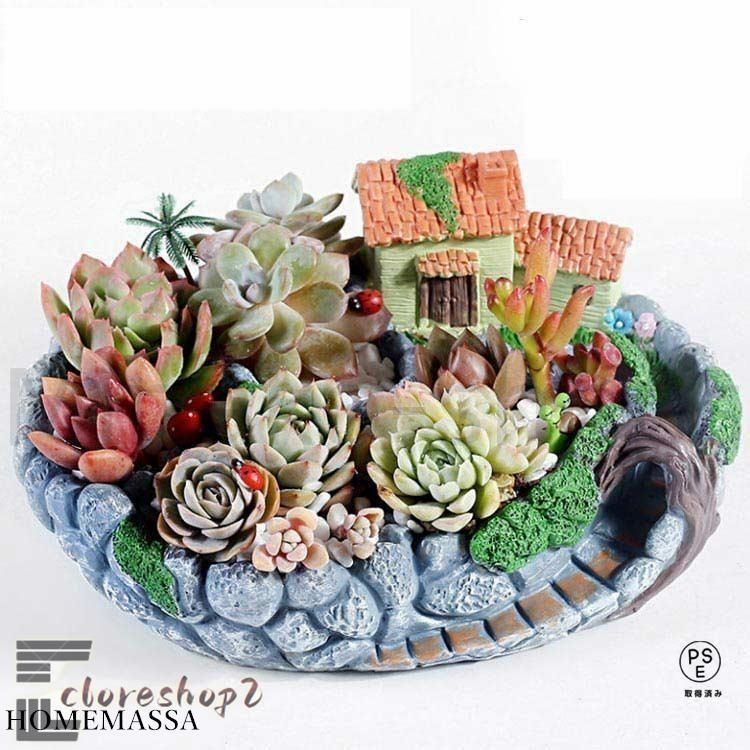 ☆多肉植物 寄せ植え〜☆超特大☆可愛い女の子のタワーHOUSE寄せ〜☆