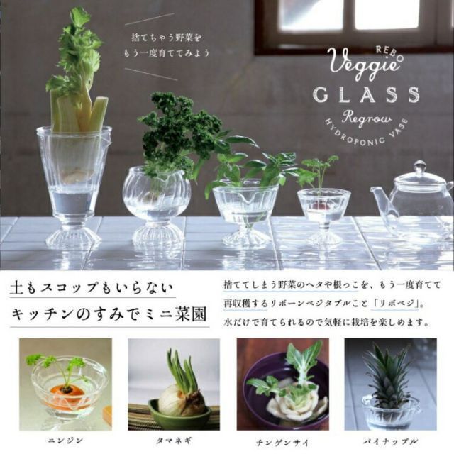 SPICE スパイス SPICE OF LIFE リボベジ ガラス カップ Lサイズ