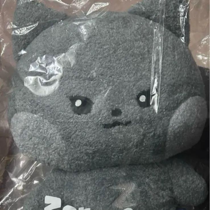 ZB1 zeroni フラットぬいぐるみ ウンニニ ジウン ラインフレンズ ZB1 zeroni フラットぬいぐるみ ウンニニ ジウン ラインフレンズ