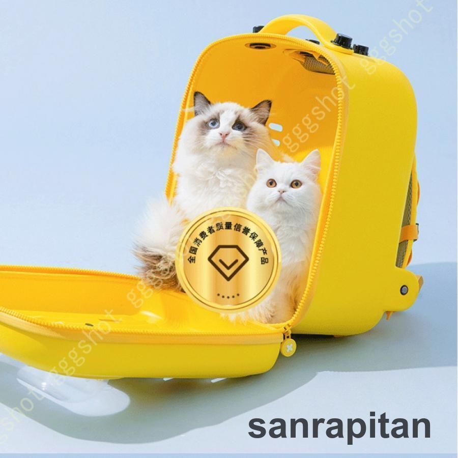 EVA 折りたたみ可