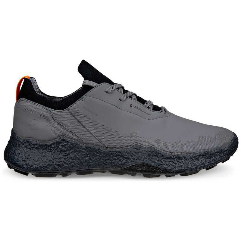 ECCO BIOM H5 サイズ43 未使用　グレー　値引き中 ECCO BIOM H5 サイズ43 未使用 グレー 値引き中 - メルカリ