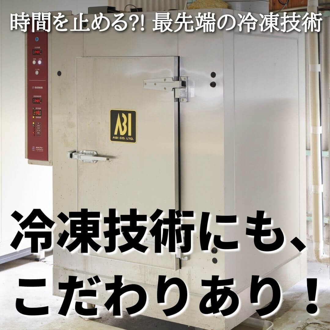 サイズおまかせ・国産生サザエ3kg（海鮮BBQバーベキューに）新鮮！冷凍 さざえの壺焼き