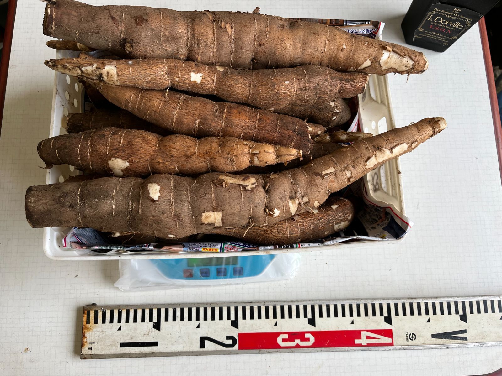 B品 キャッサバ芋 15kg CASSAVA マンジョッカ YUCA ブラジル - 野菜