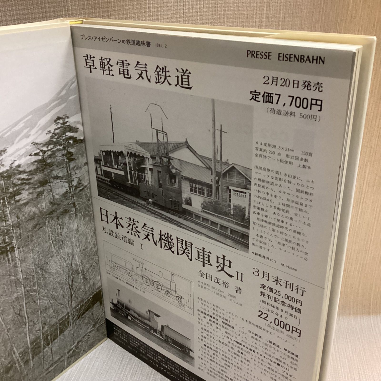 草軽電気鉄道 2'6\" gauge through white birch 草軽電気鉄道 2'6