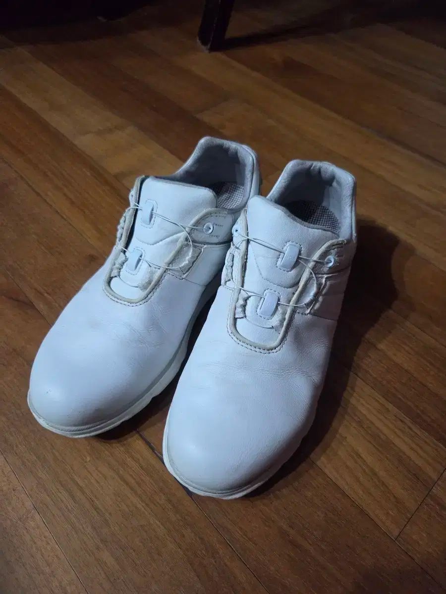 3日間だけセール‼︎ ★日本未販売★FootJoy レディース ゴルフシューズ FJ_90608_01.png?sw=650&sh=650&