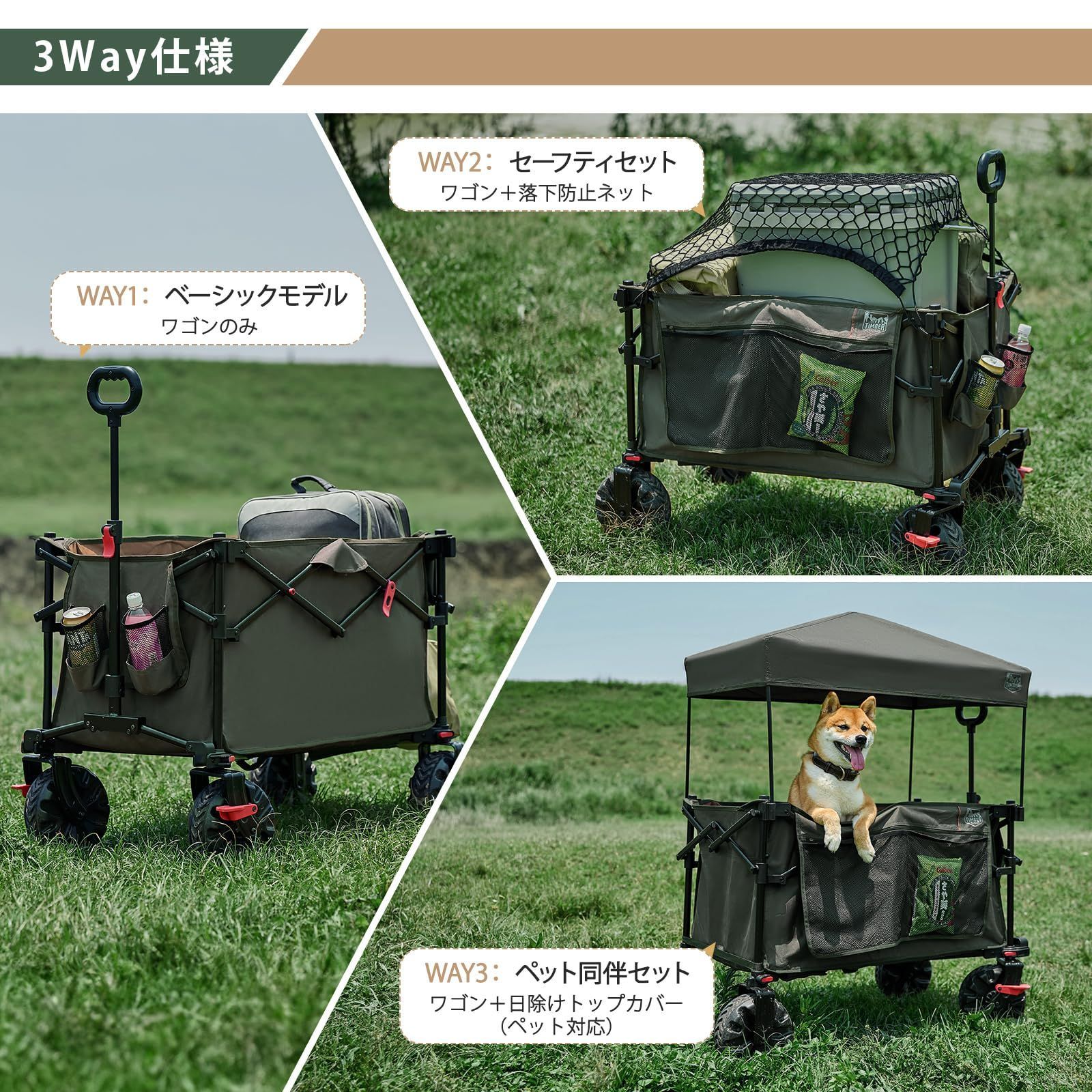 グリーン コンパクト