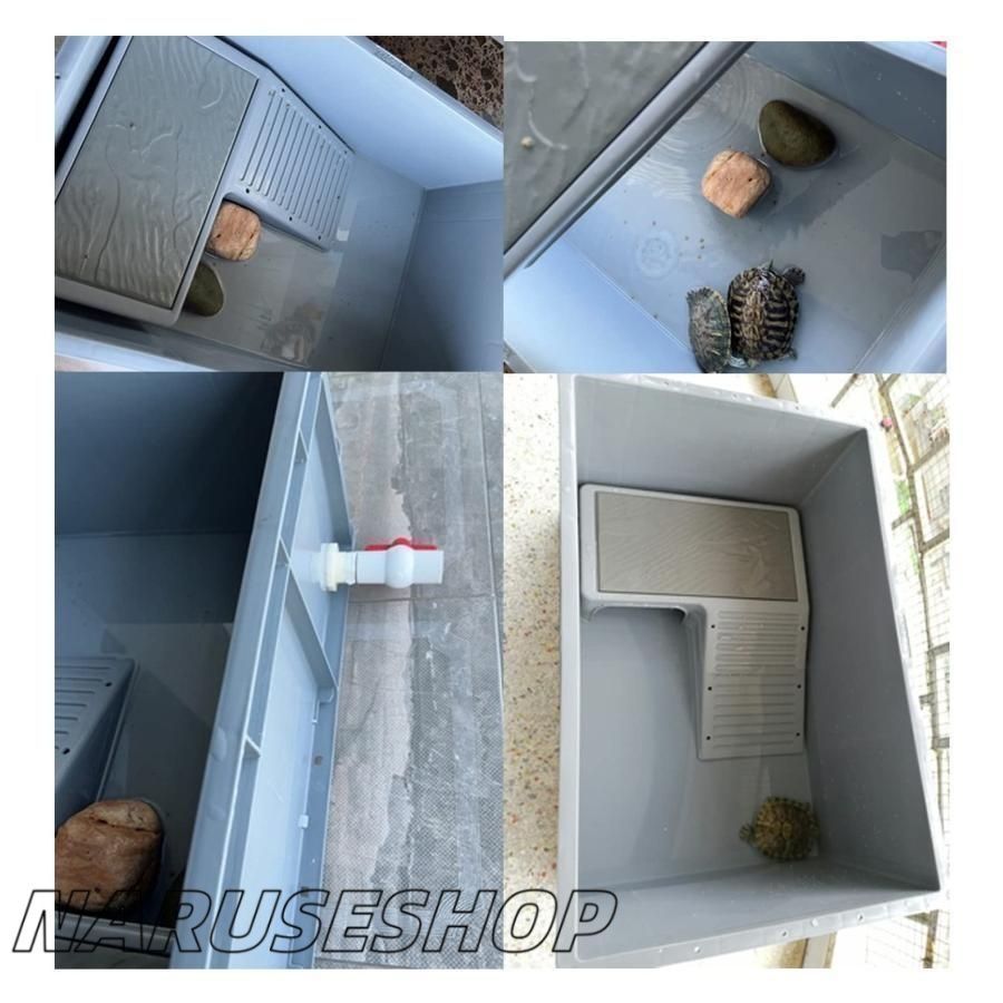 プラスチック カメ用水槽