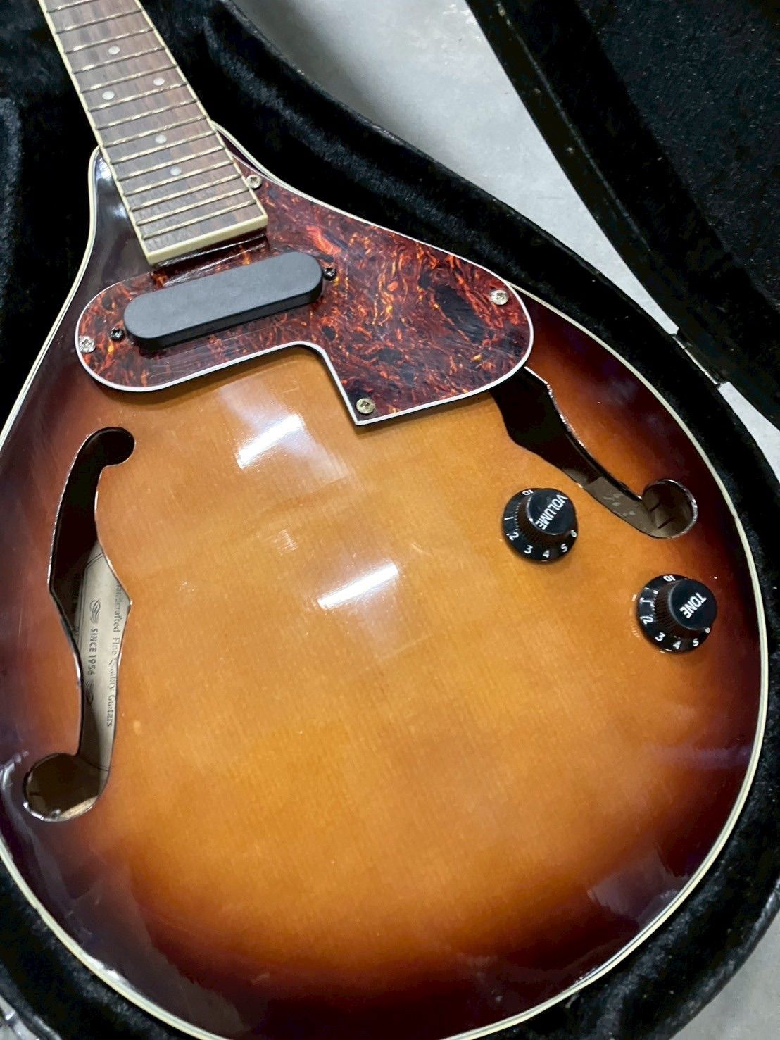 Aria アリア AM-200E BS エレクトリックマンドリン ケース付き