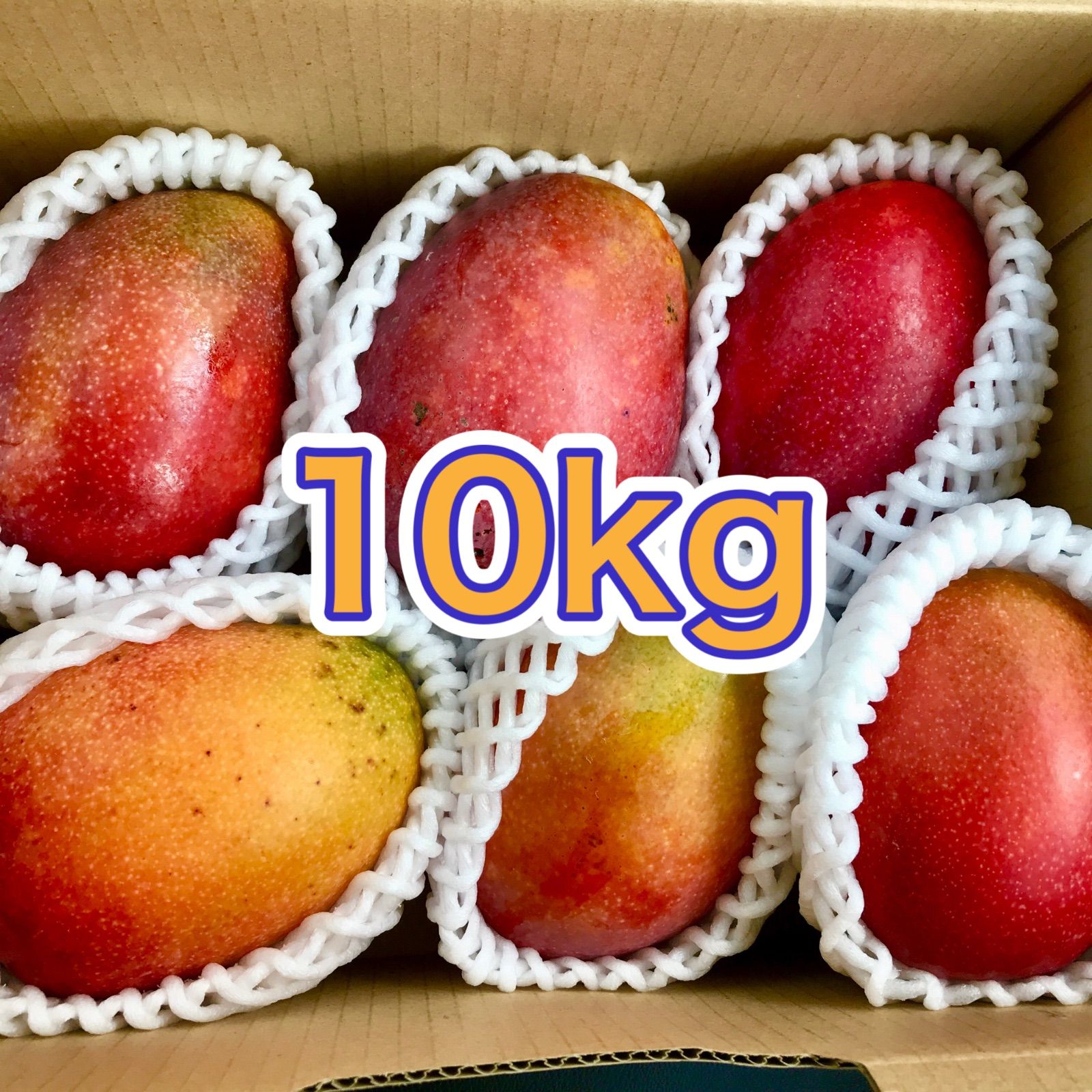 摘果マンゴー　10kg 摘果マンゴー 10kg